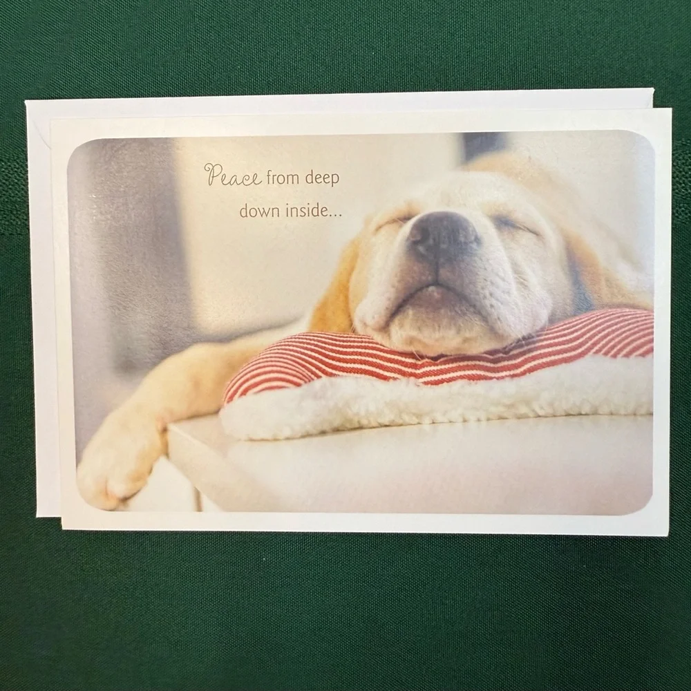 DaySpring 12 Greeting Cards With Envelopes Set #2